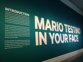 Mario Testino In Your Face at the Museum of Fine Arts in Boston